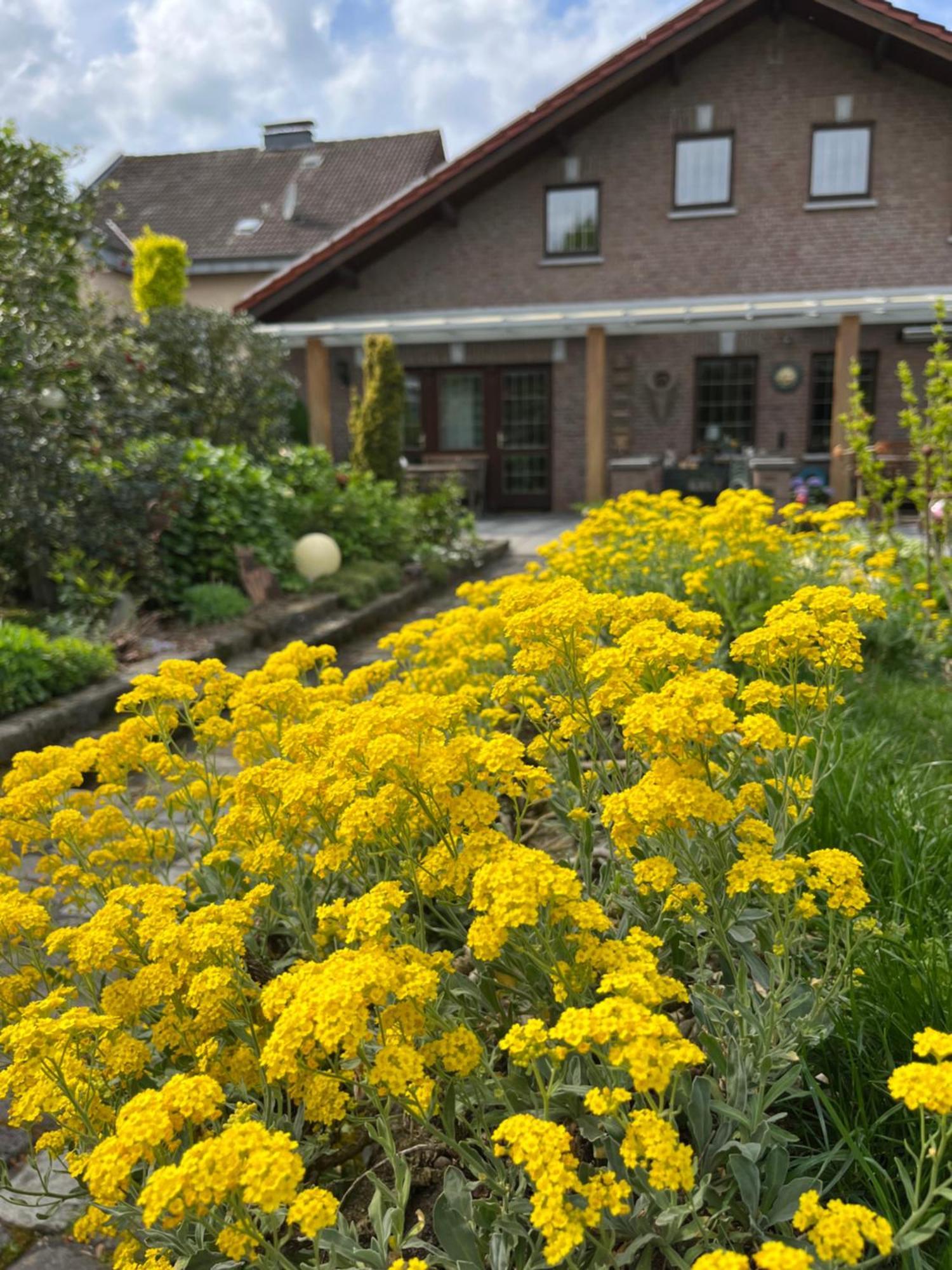 Ferienwohnung Jansen Selfkant Luaran gambar